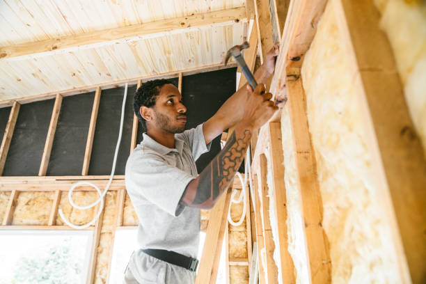 Best Crawl Space Insulation  in Stuttgt, AR